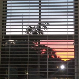 Meet your Posher, Stanley